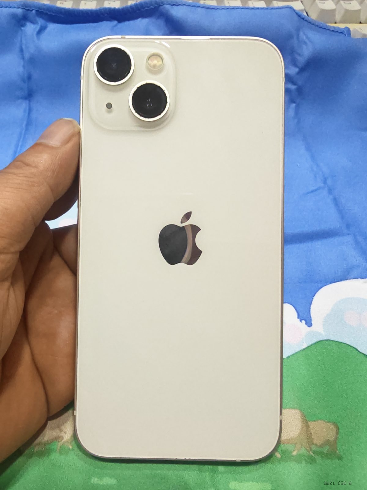 苹果 iPhone 13