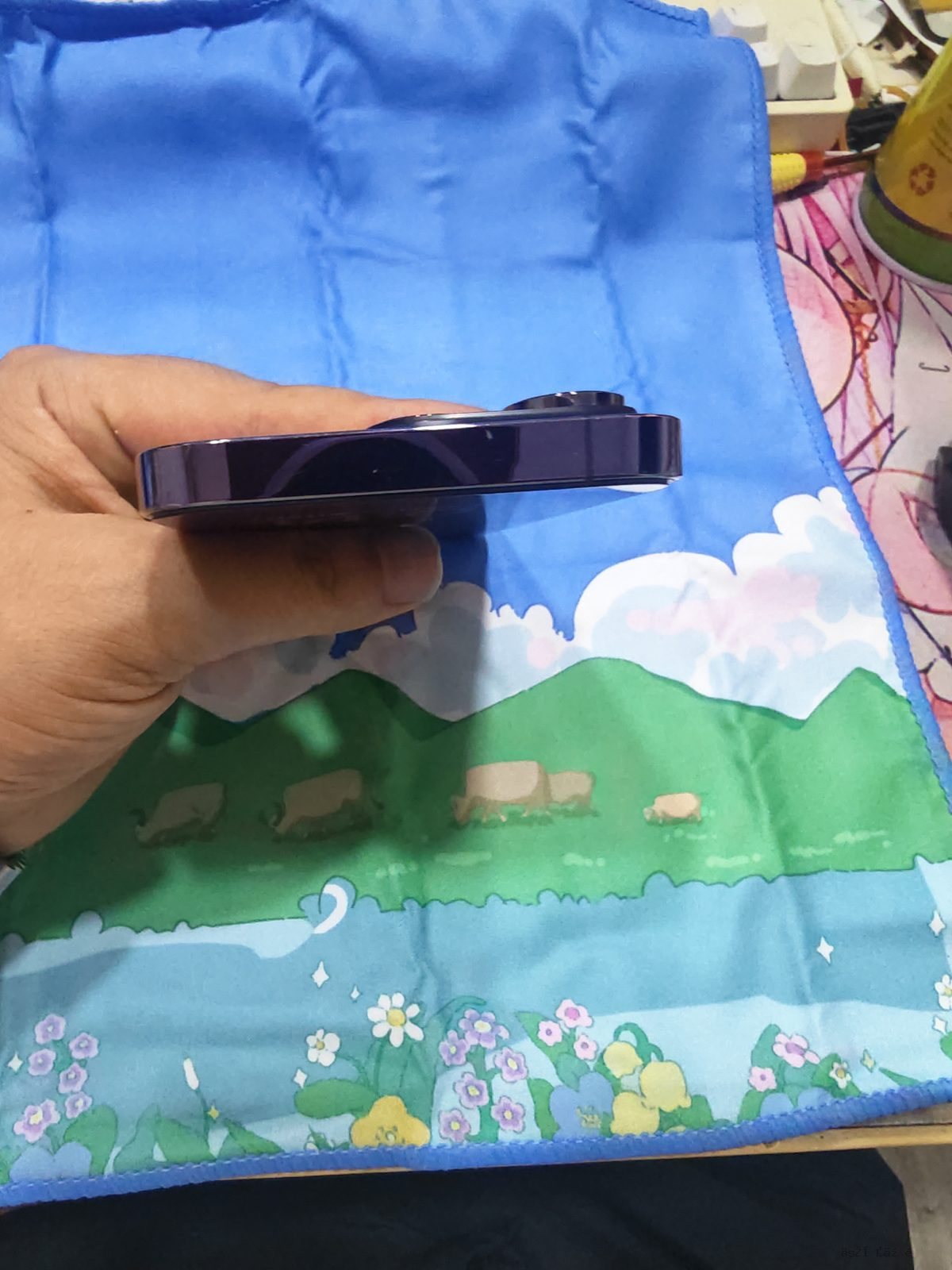 详情图